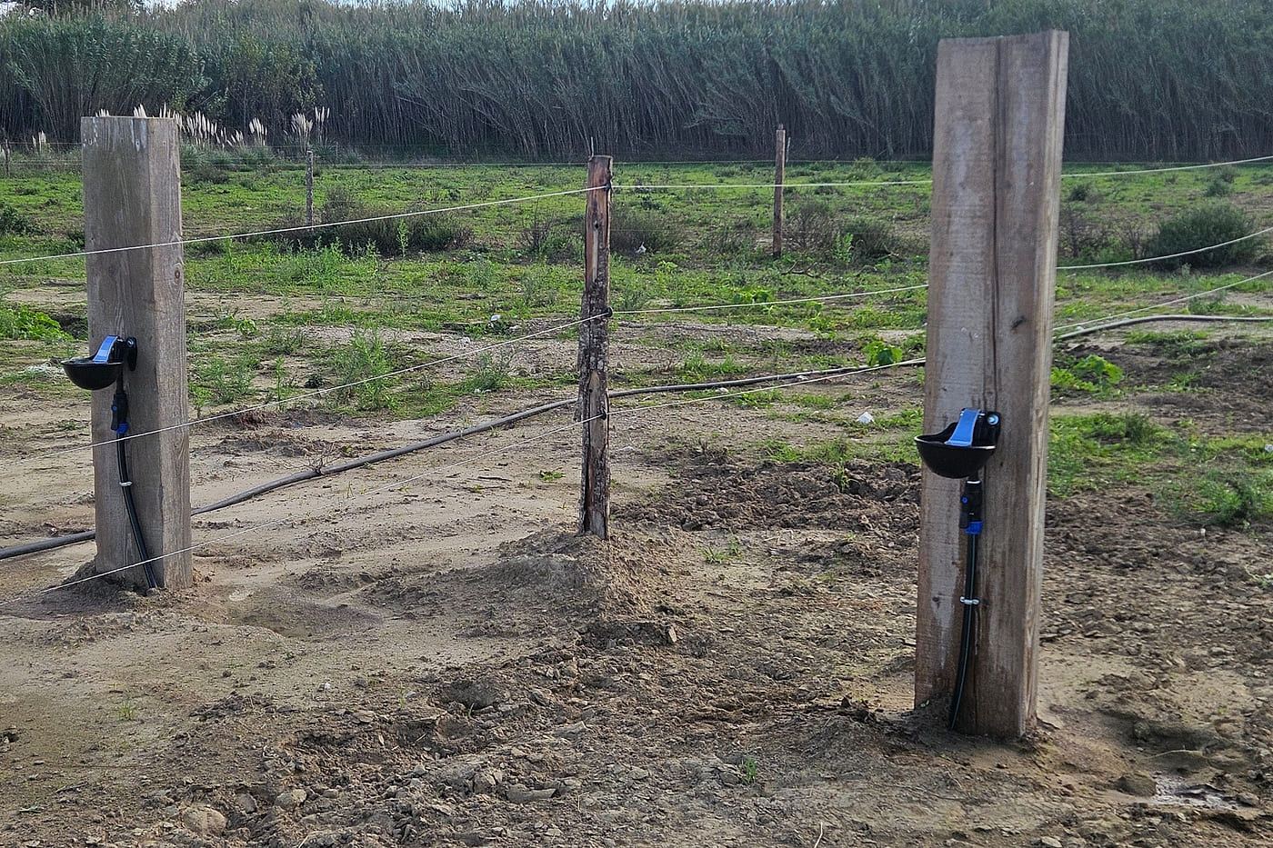 Réseau enterré desservant les points d'eau du terrain