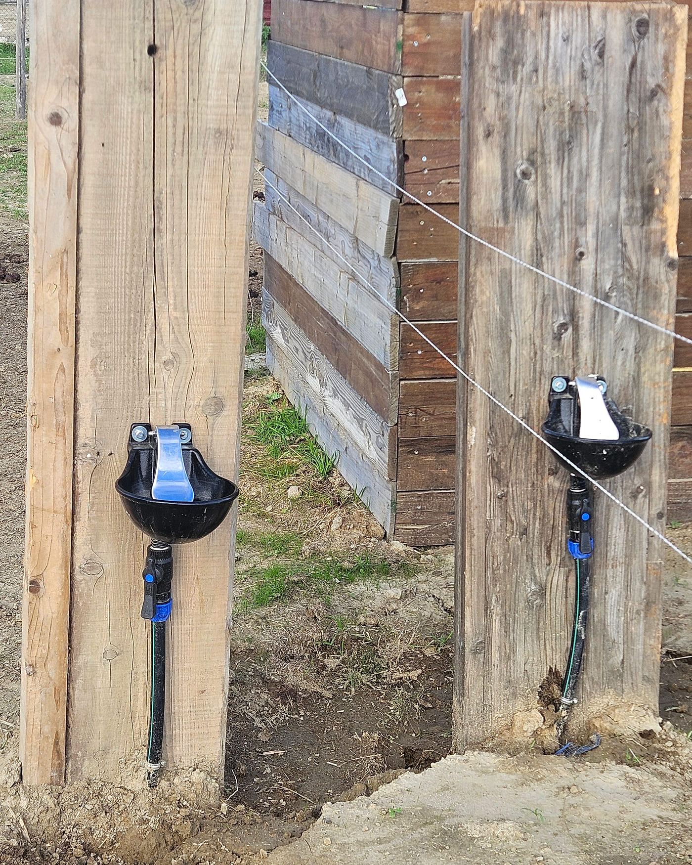 Point d'abreuvement raccordé sur un poteau